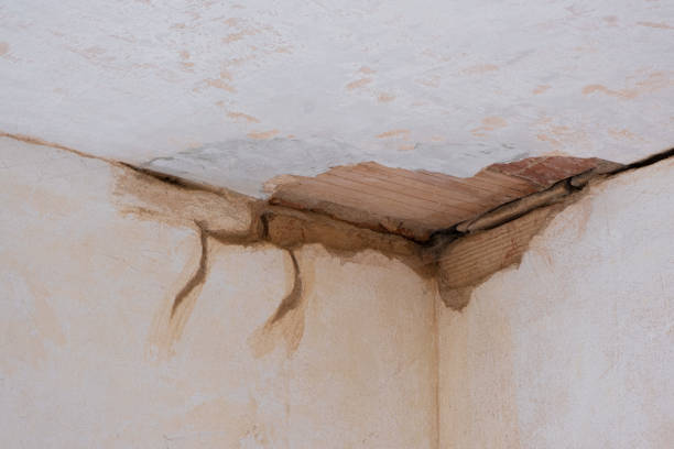 Best Water damage restoration near me  in Robinhood, MS