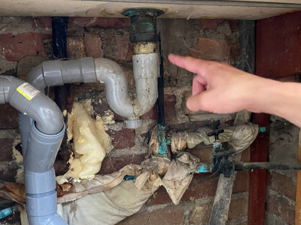 Best Emergency water damage restoration  in Robinhood, MS