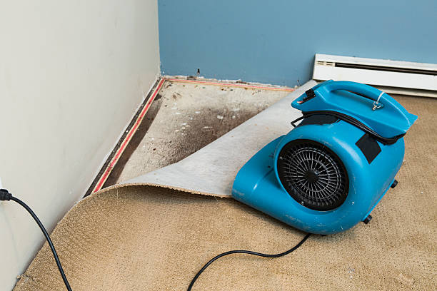 Best 24-hour water damage restoration  in Robinhood, MS