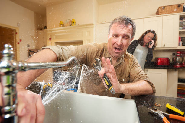 Best Flood damage cleanup  in Robinhood, MS